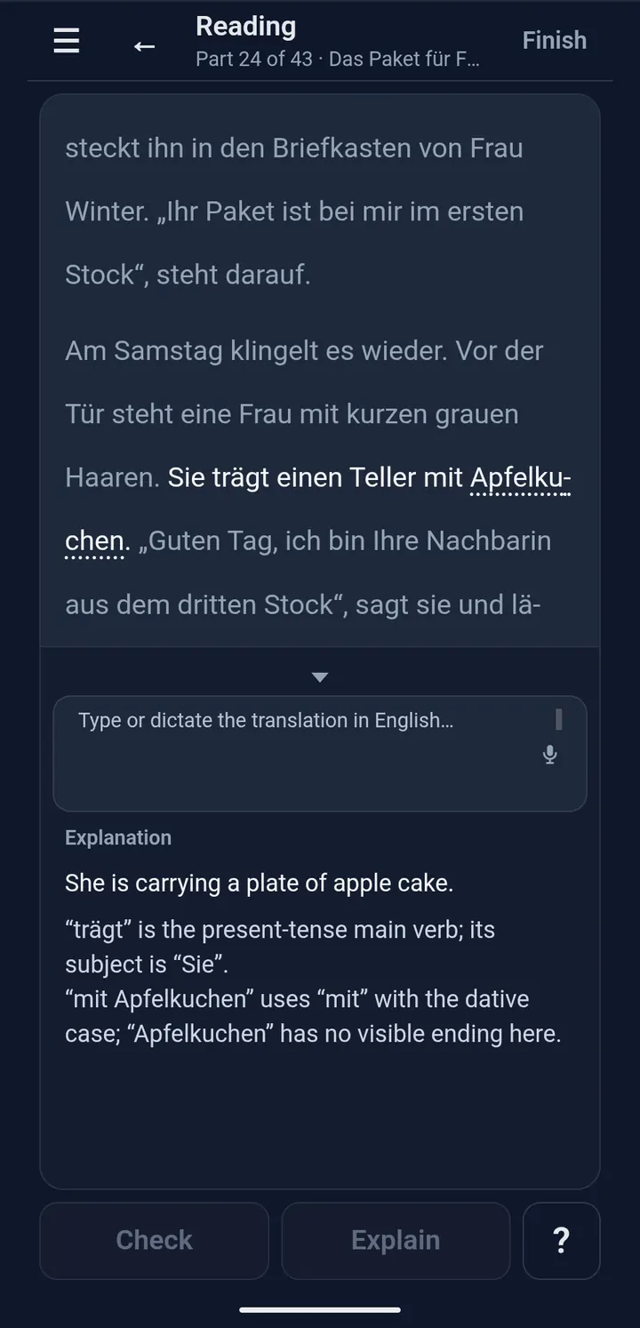 Explanation of the sentence: translation, verb and case.